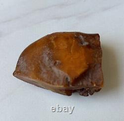 Natural Big Baltic Amber Stone Raw 70 grams. Egg yolk