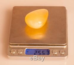 Natural Butterscotch Baltic Amber Egg Yolk 25.57g R101066