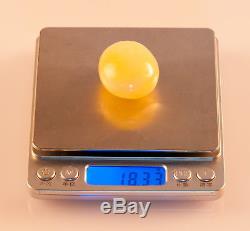 Natural Butterscotch Egg Yolk BALTIC AMBER 18.33g R101026