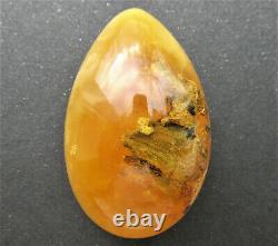 Natural Butterscotch Egg Yolk Baltic Amber Stone 27.8g