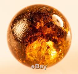 Natural Dark Brown Cognac Egg Yolk Genuine BALTIC AMBER Stone 16.96g R101029