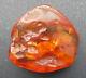 Natural Genuine Baltic Amber Stone with Insect 82.8g