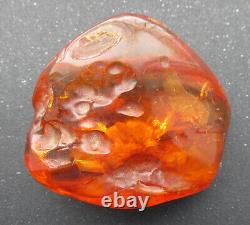 Natural Genuine Baltic Amber Stone with Insect 82.8g