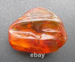 Natural Genuine Baltic Amber Stone with Insect 82.8g