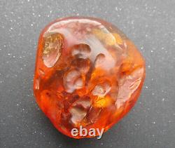 Natural Genuine Baltic Amber Stone with Insect 82.8g