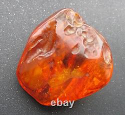 Natural Genuine Baltic Amber Stone with Insect 82.8g