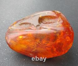 Natural Genuine Baltic Amber Stone with Insect 82.8g