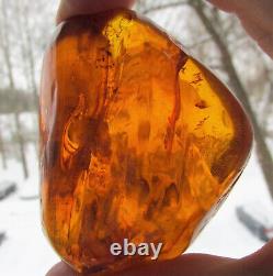 Natural Genuine Baltic Amber Stone with Insect 82.8g