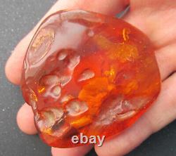 Natural Genuine Baltic Amber Stone with Insect 82.8g