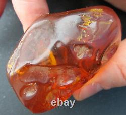 Natural Genuine Baltic Amber Stone with Insect 82.8g