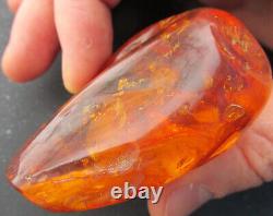 Natural Genuine Baltic Amber Stone with Insect 82.8g