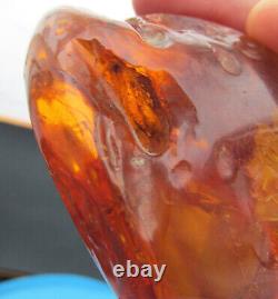 Natural Genuine Baltic Amber Stone with Insect 82.8g