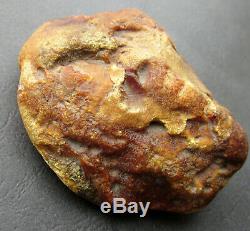 Natural Genuine Butterscotch Egg Yolk Baltic Amber Stone 111.4g