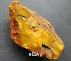 Natural Genuine Butterscotch Egg Yolk Baltic Amber Stone 111.4g