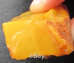 Natural Genuine Butterscotch Egg Yolk Baltic Amber Stone 24g