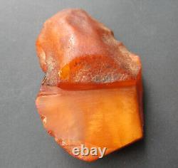 Natural Genuine Butterscotch Egg Yolk Baltic Amber Stone 56.8g