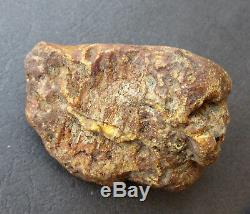 Natural Genuine Butterscotch Egg Yolk Baltic Amber Stone 68.8g