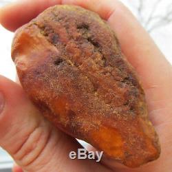 Natural Genuine Butterscotch Egg Yolk Baltic Amber Stone 68.8g