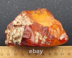Natural Genuine Butterscotch Egg Yolk Baltic Amber Stone 81g