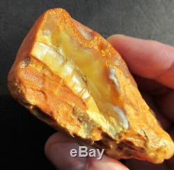 Natural Genuine White Butterscotch Egg Yolk Baltic Amber Stone 70.5g