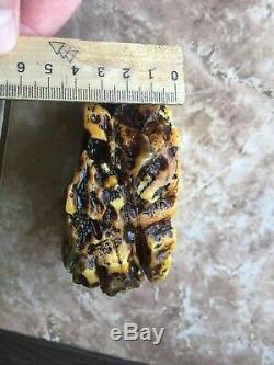 Natural Old Amber Stone 240 g