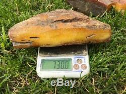 Natural Old Amber Stone 730 g