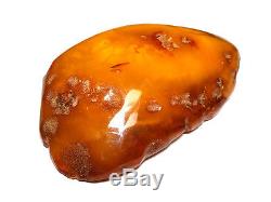 Natural Polished Old Butterscotch Baltic Amber Stone 168 Grams No Reserve