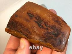 Natural Raw Baltic Amber Stone 81GR