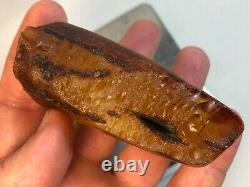 Natural Raw Baltic Amber Stone 81GR