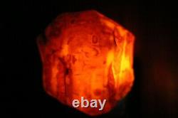 Natural Royal Baltic Amber Stone 217 Grams Raw