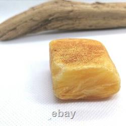 Natural Royal Loose Amber Stone from Baltic Sea Raw Butterscotch 34,4 gr