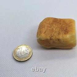 Natural Royal Loose Amber Stone from Baltic Sea Raw Butterscotch 34,4 gr