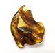 Natural Unique Baltic Amber Stone Large Fossil Gemstone Wood Inclusion