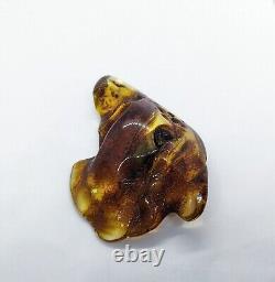 Natural Unique Baltic Amber Stone Large Fossil Gemstone Wood Inclusion