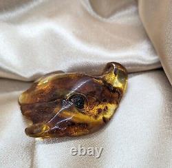 Natural Unique Baltic Amber Stone Large Fossil Gemstone Wood Inclusion