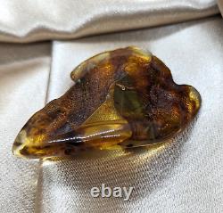 Natural Unique Baltic Amber Stone Large Fossil Gemstone Wood Inclusion