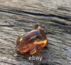 Natural Unique Baltic Amber Stone Large Fossil Gemstone Wood Inclusion