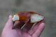 Natural White Baltic Amber Stone 107 Grams Raw