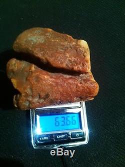 Natural baltic amber stone 63.6g