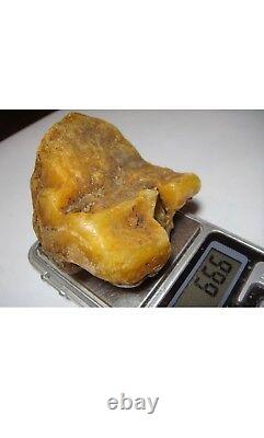 Natural baltic amber stone raw