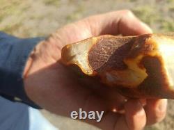 Natural baltic amber stone w 232 grams