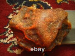 Natural baltic amber stone w 232 grams