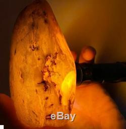 Natural baltic amber stone w 392 grams