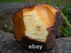 Natural baltic amber stone w 560 grams