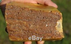 Natural baltic amber stone w 710 grams