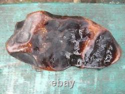 Natural baltic amber stones w 170 grams