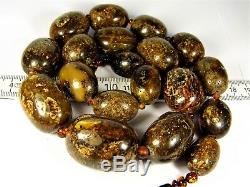 Natural genuine real Black Baltic Amber olive shape necklace 152g authentic 1gin