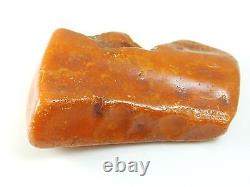 Natural raw unpolished baltic amber piece butterscotch 126.6 grams