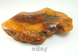 Natural raw unpolished baltic amber piece butterscotch 512.7 grams