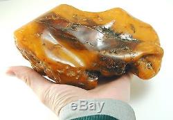 Natural raw unpolished baltic amber piece butterscotch 512.7 grams